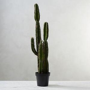 Faux Potted Saguaro Cactus - Extra Large