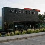 Mestizo