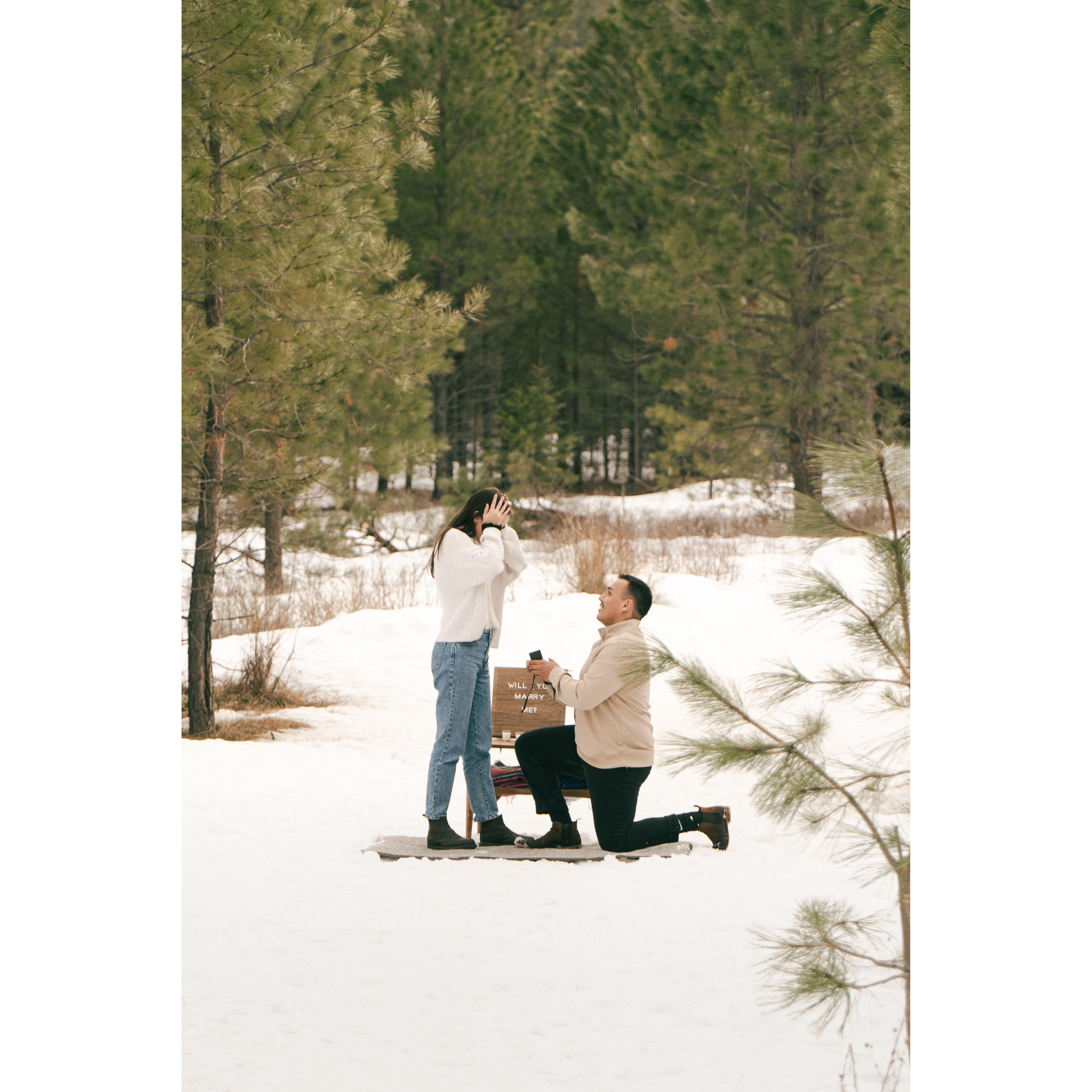 Proposal!
