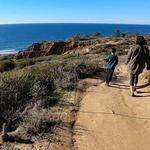 Torrey Pines State Natural Reserve