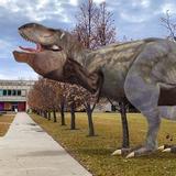 Royal Saskatchewan Museum