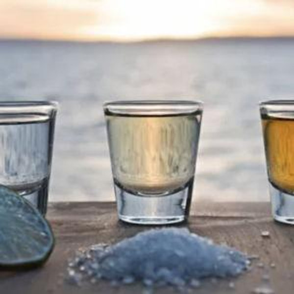 Tequila Tasting Excursion