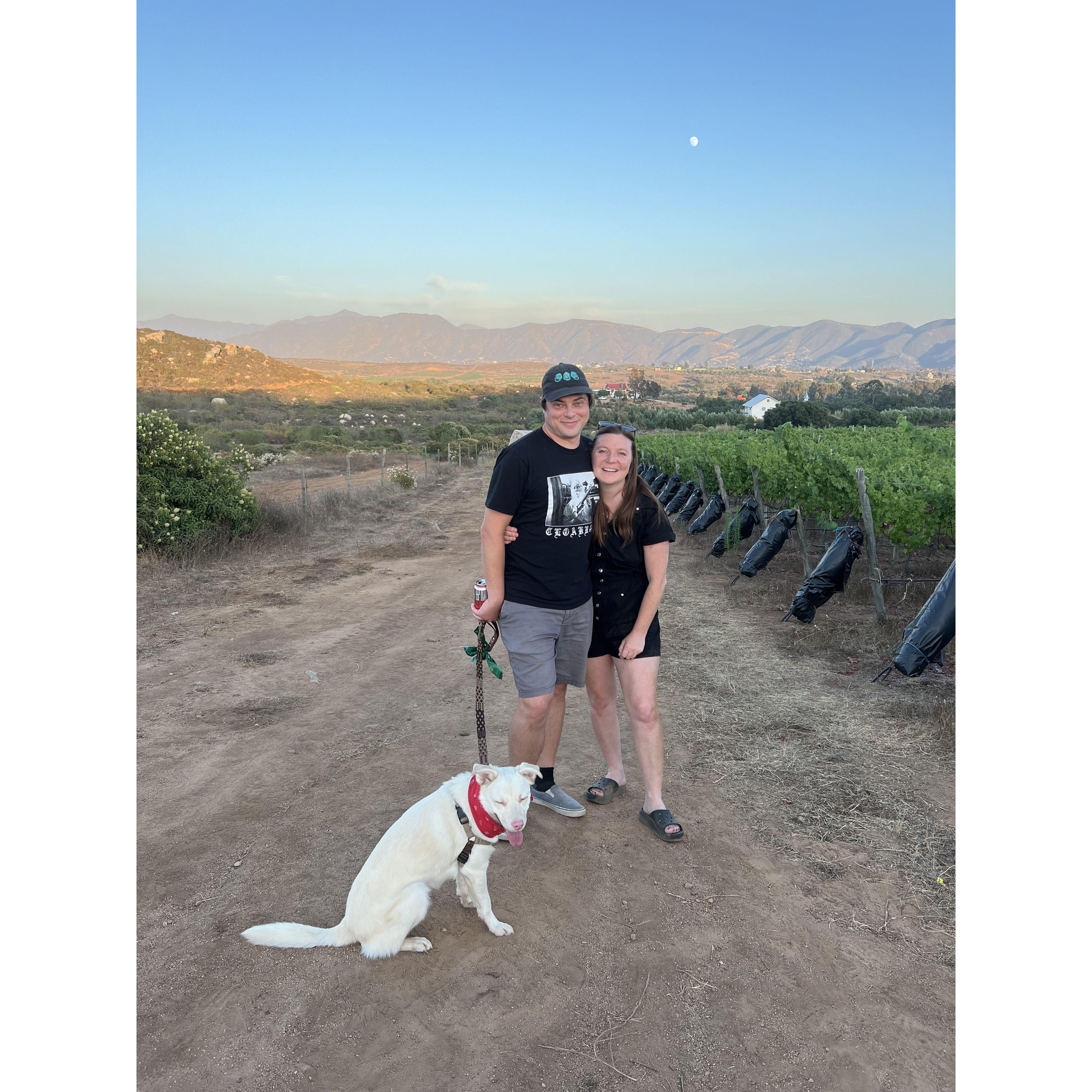 En'kanto Vinedo in Valle de Guadalupe, Baja. July 2024.