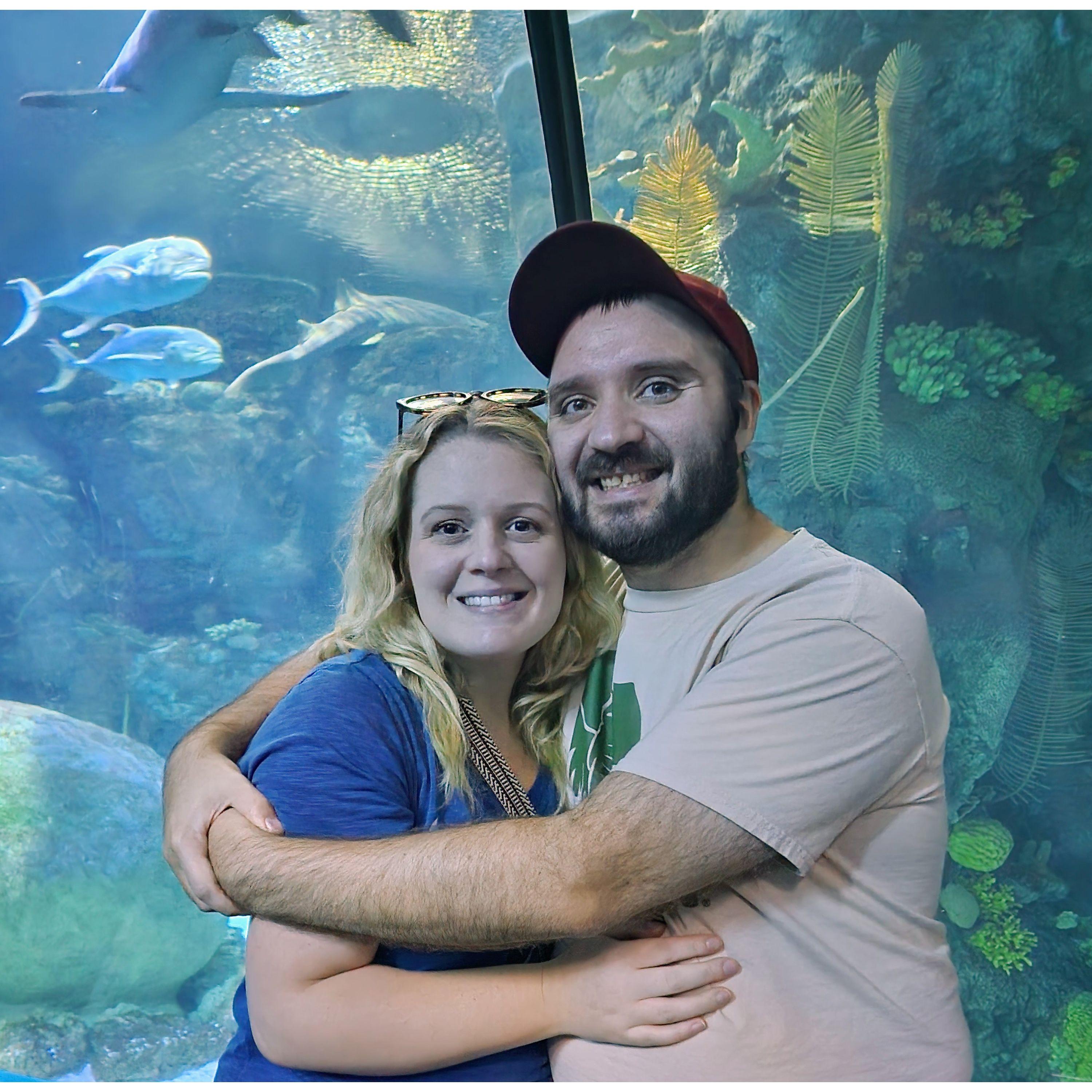 Family trip to the zoo