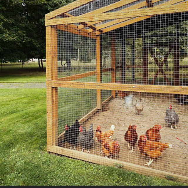 Chicken Coop Fund