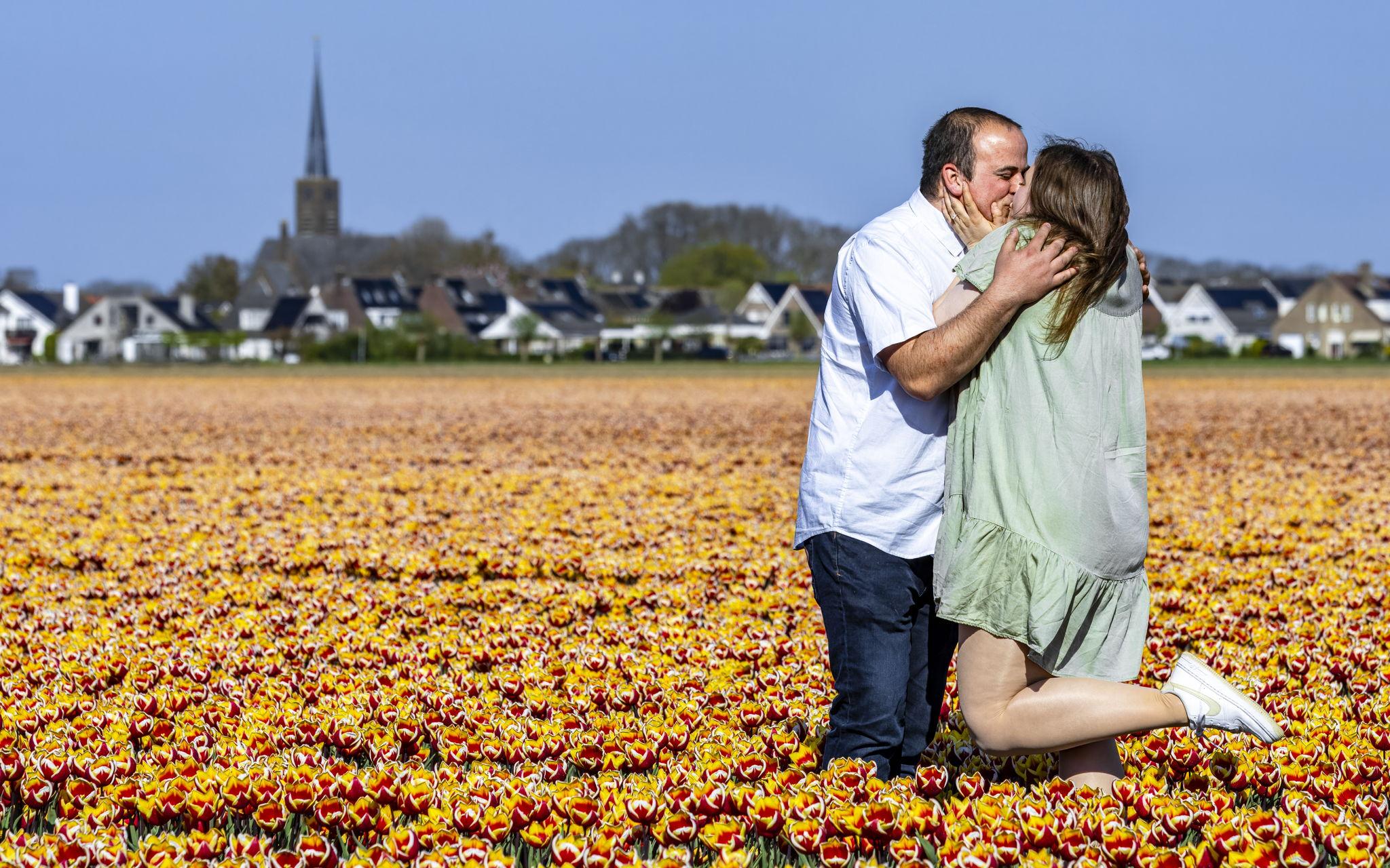 6ce79502-d4ad-4182-9472-098b2660eef4