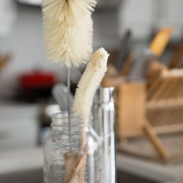 Bottle Brush