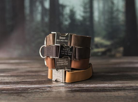 Leather dog collar