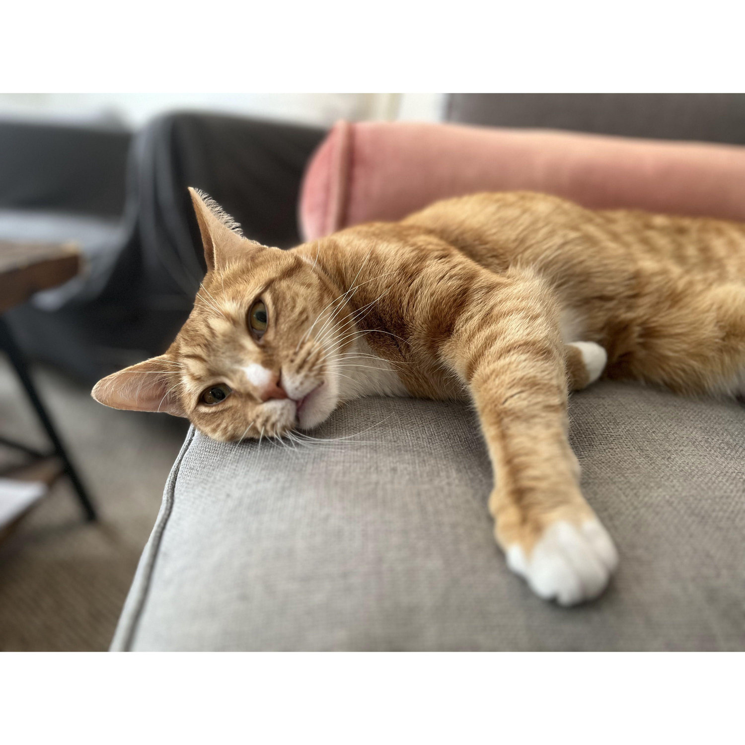 Jack (Orange boy) not annoying Kaleigh for once