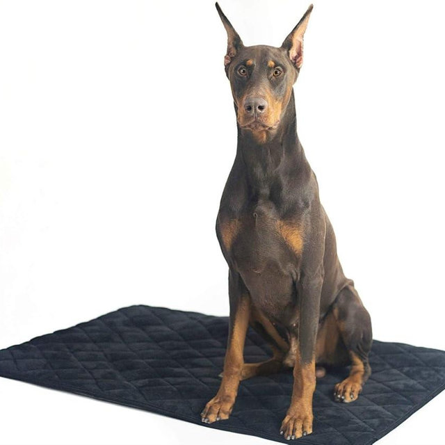 4Knines Extra Large Dog Crate Mat – Waterproof, Non-Slip, Machine Washable Crate Mat – Soft, Durable Kennel Mat for Dogs – Pet Bed for Crates, Travel or Home Use - Extra Large (Black)