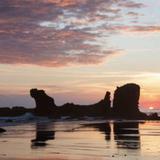 Playa El Tunco