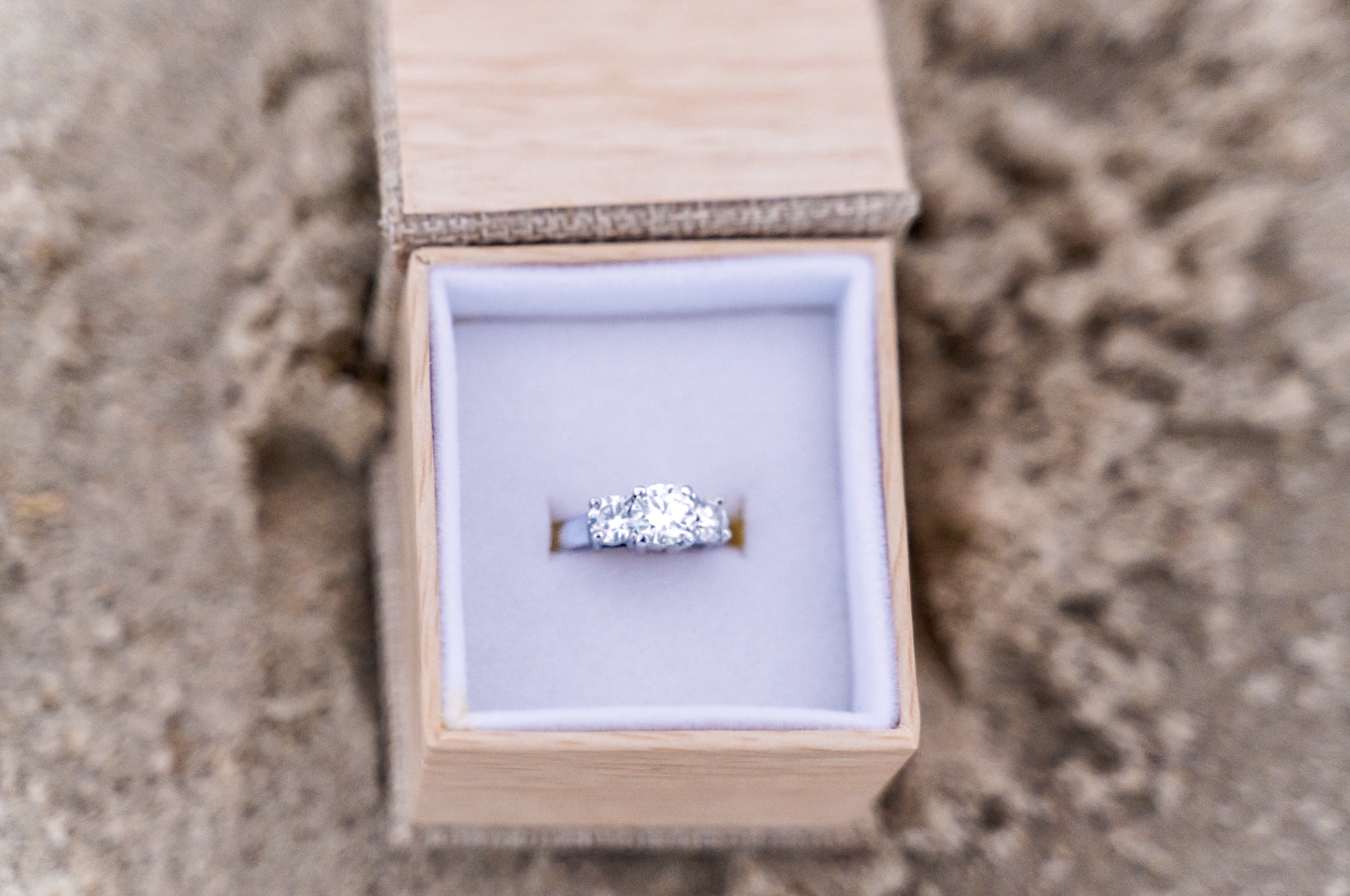 6cf0799f-b45a-461d-b0e0-c2f1fcbe64a4