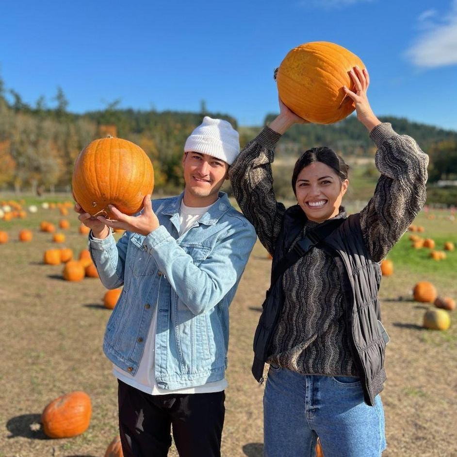 Pumpkin patch