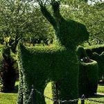 Green Animals Topiary Gardens