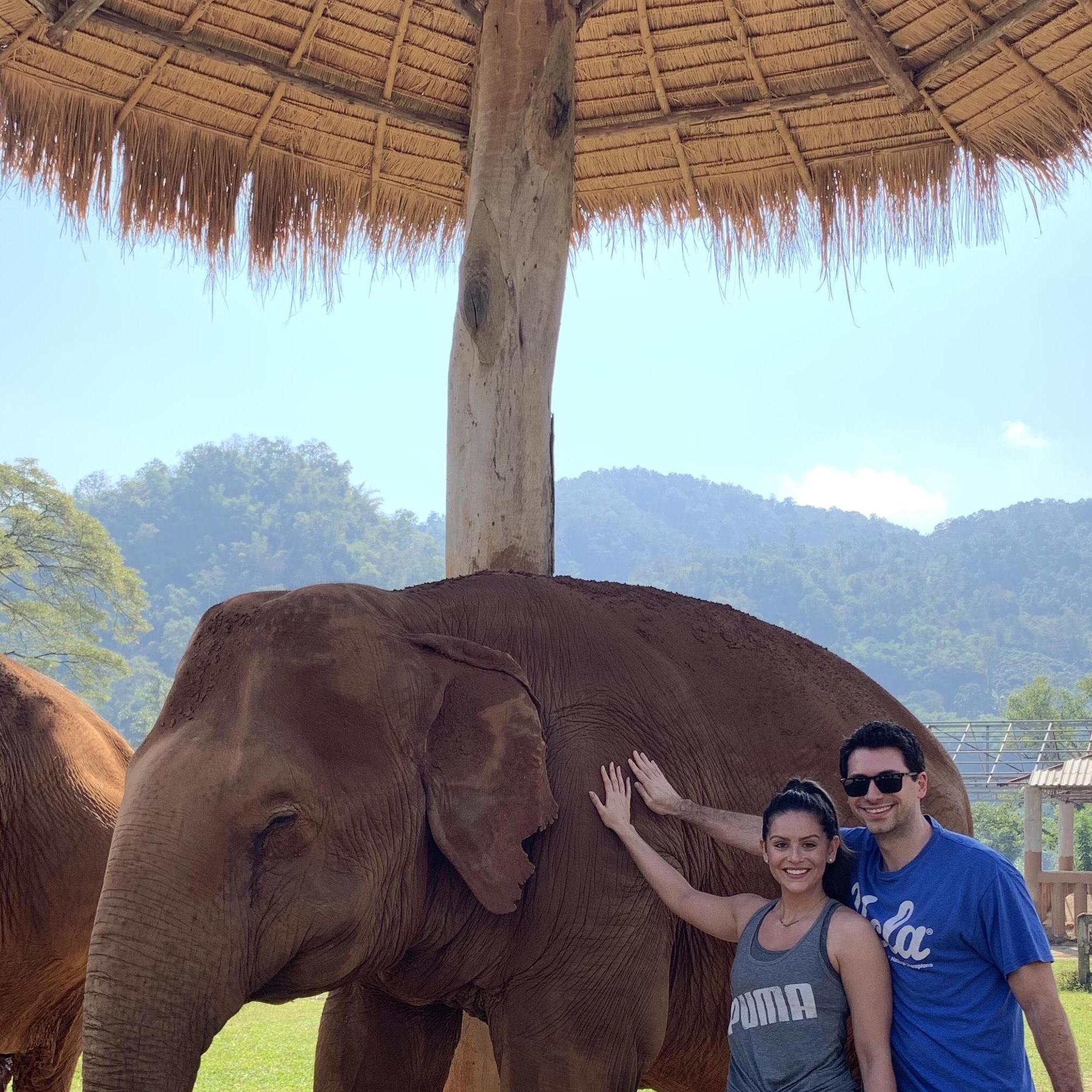 🐘