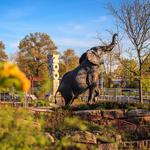 Saint Louis Zoo