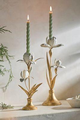 Iris Taper Candle Holder