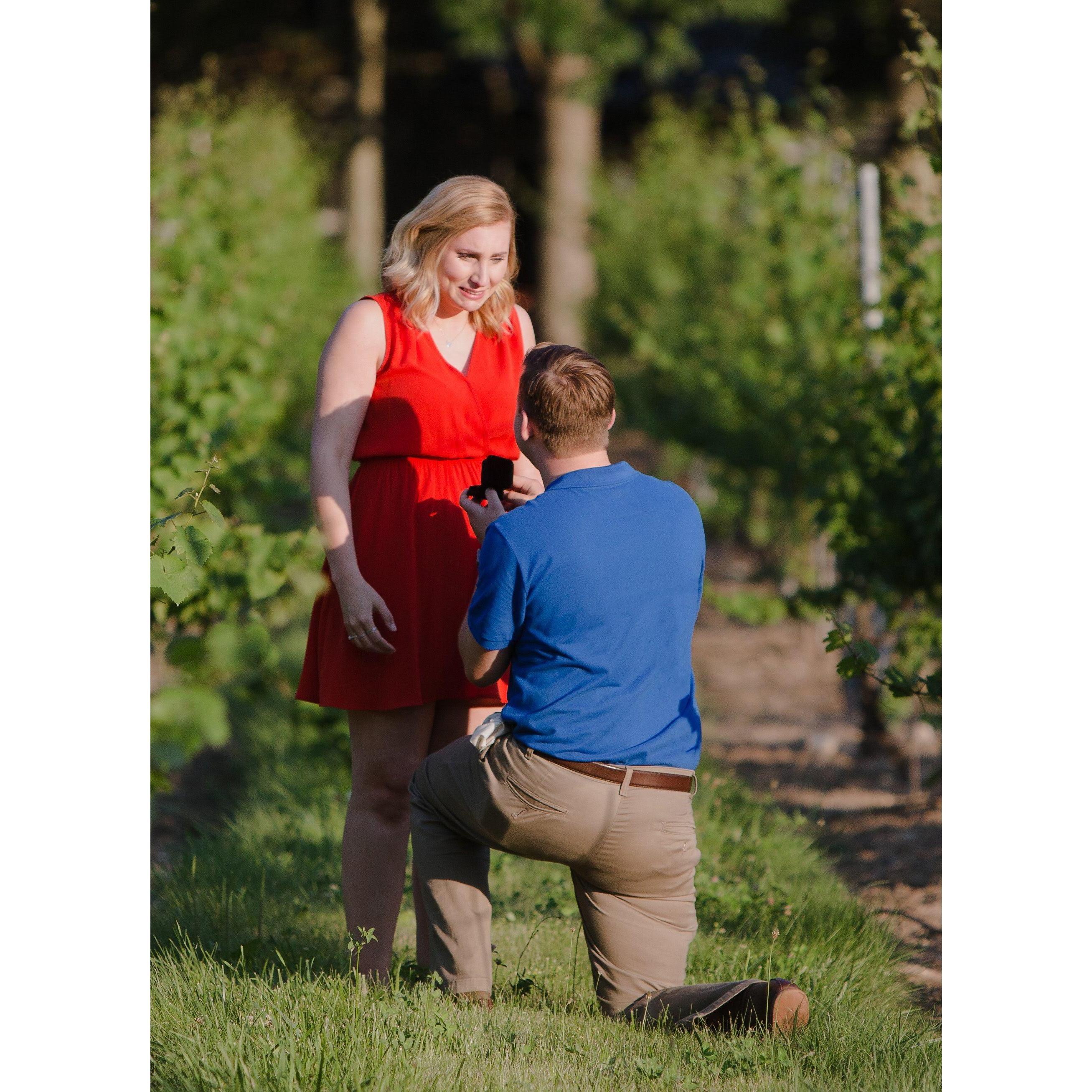 Ryan proposed between the vines at Chamard Vineyard in Clinton, CT on June 30th, 2018. Then Mariana obviously said "yes"!