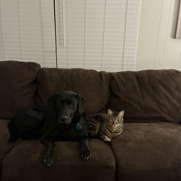 Our Pet Fund