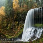 Silver Falls State Park
