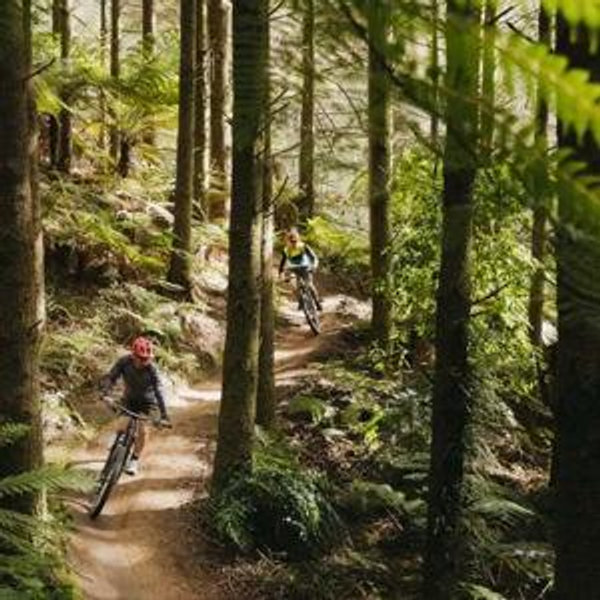 Rotorua Mountain Bike Excursion