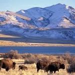 Antelope Island
