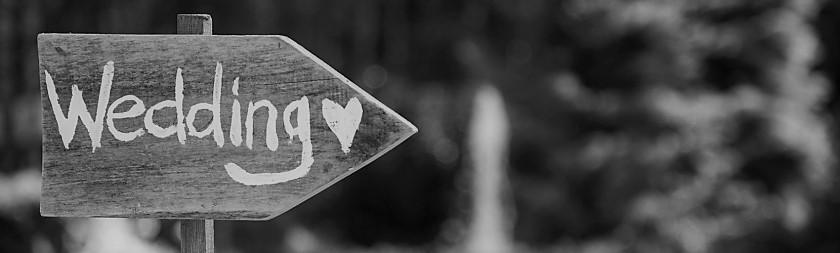 The Wedding Website of Anna Creech and Jamie Autin