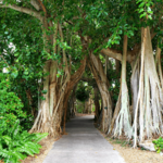 Marie Selby Botanical Gardens Event Venues