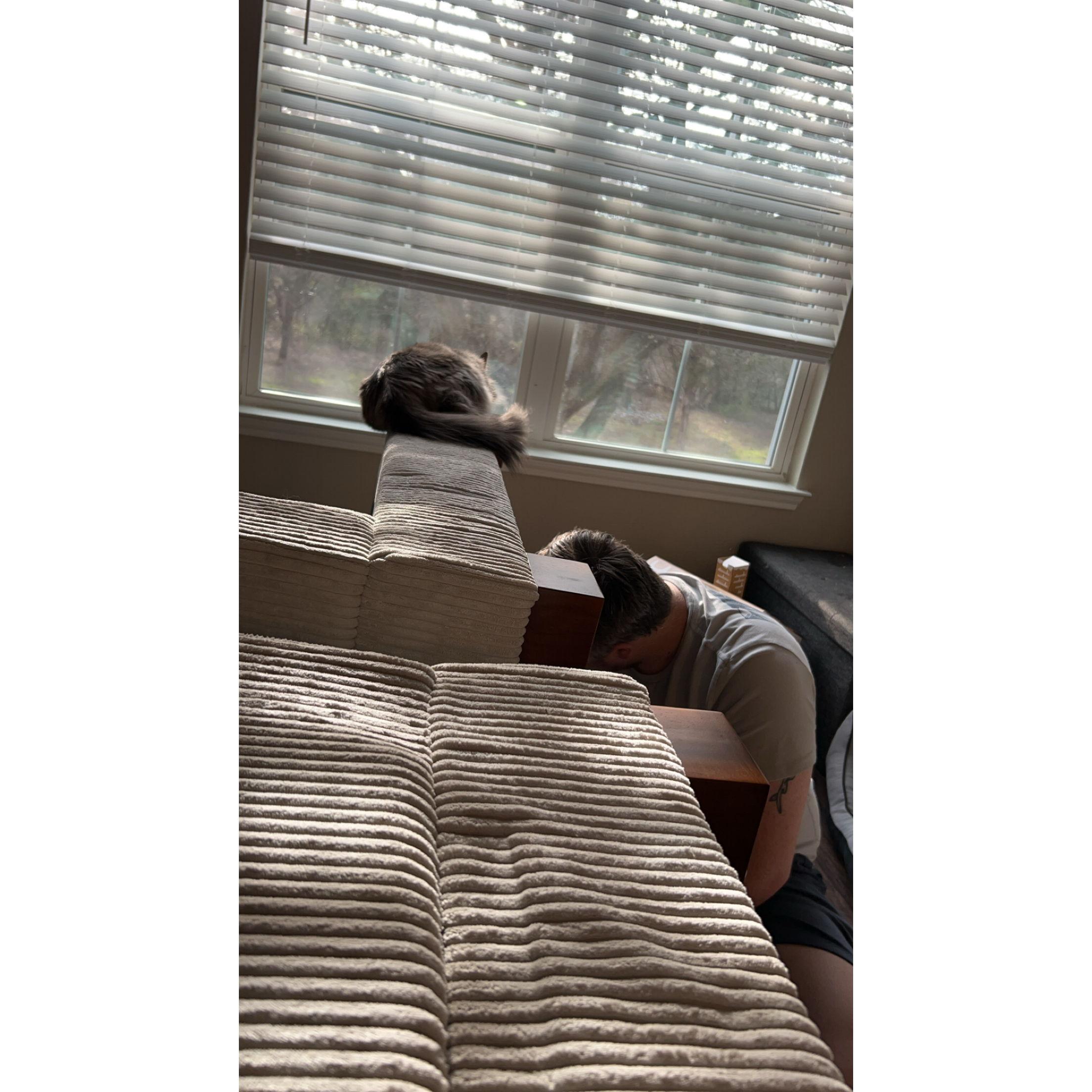 Tye putting together our couch for our Apartment