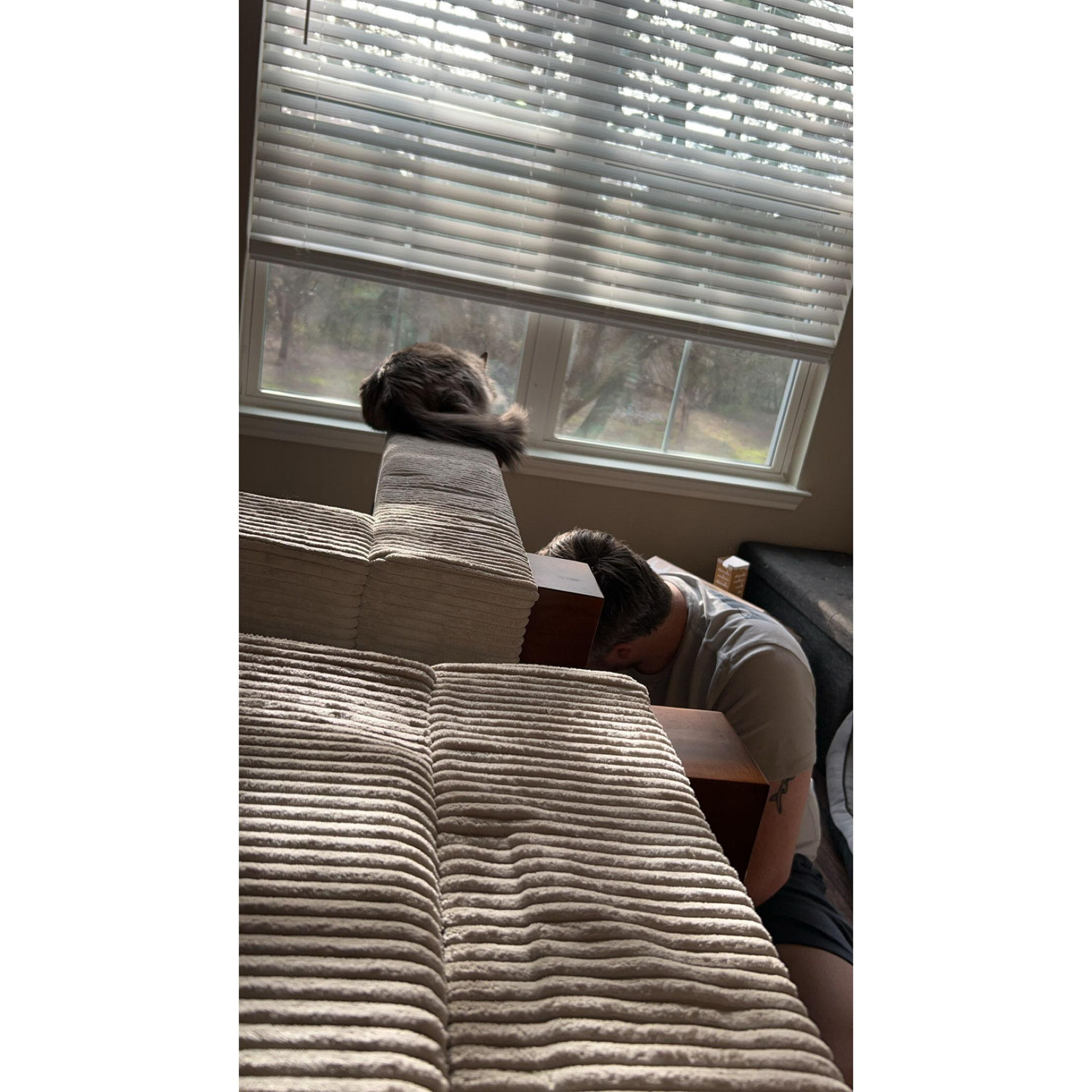 Tye putting together our couch for our Apartment