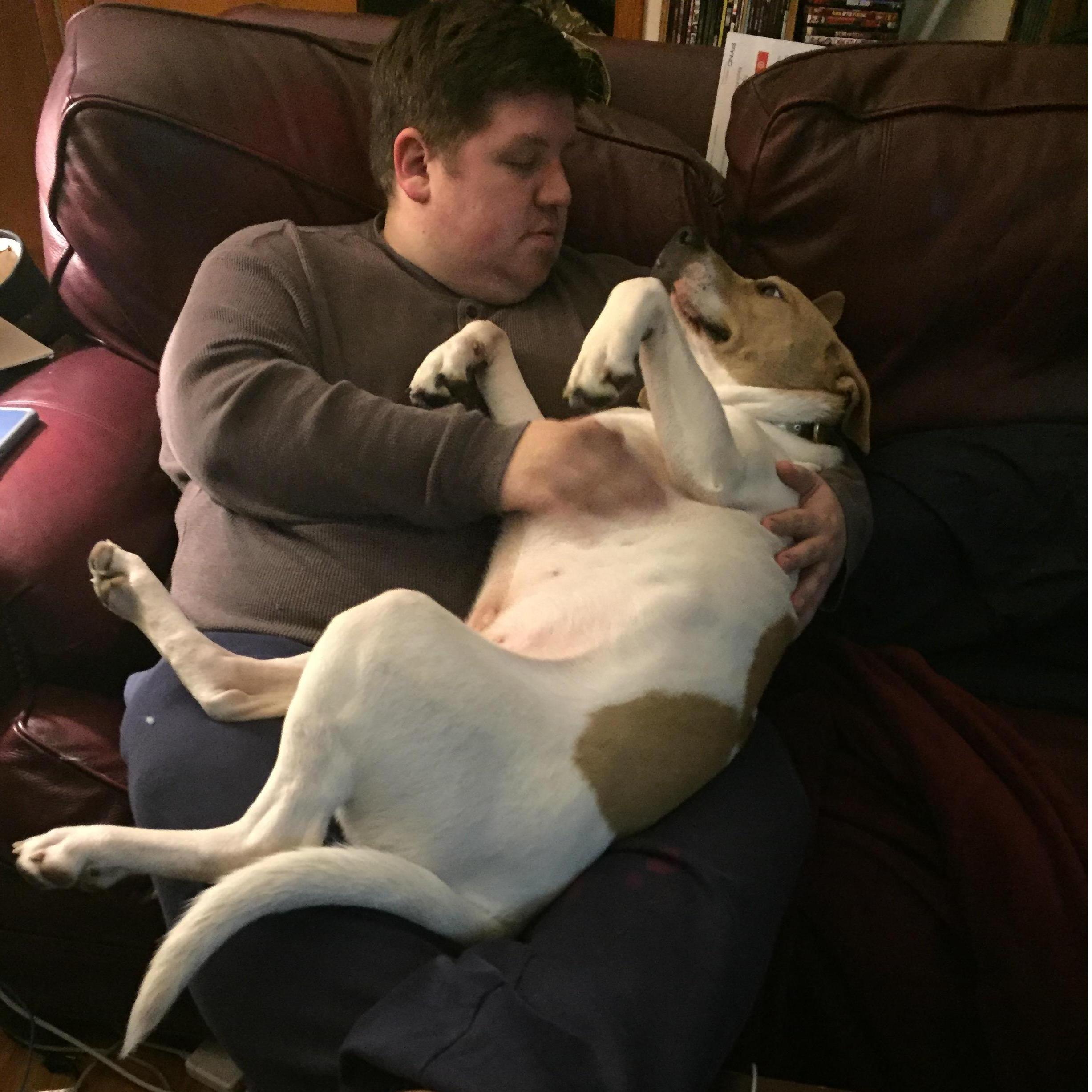 They said he wasn't a lap dog....