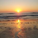 Carlsbad State Beach