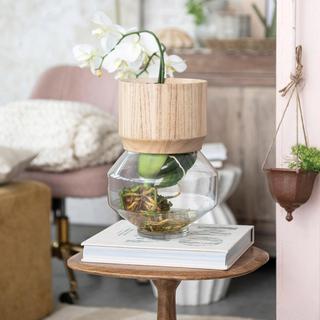 Acacia & Glass Hurricane Vase
