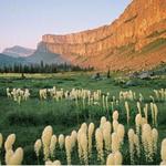 Bob Marshall Wilderness