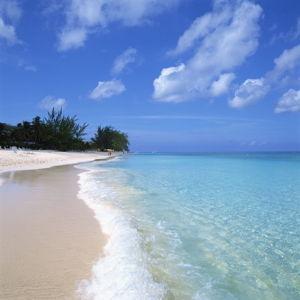 Honeymoon Cruise Fund! (Credit/Debit Direct)