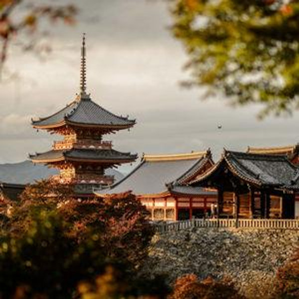 Honeymoon in Japan