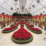 Phipps Conservatory and Botanical Gardens - Pittsburgh
