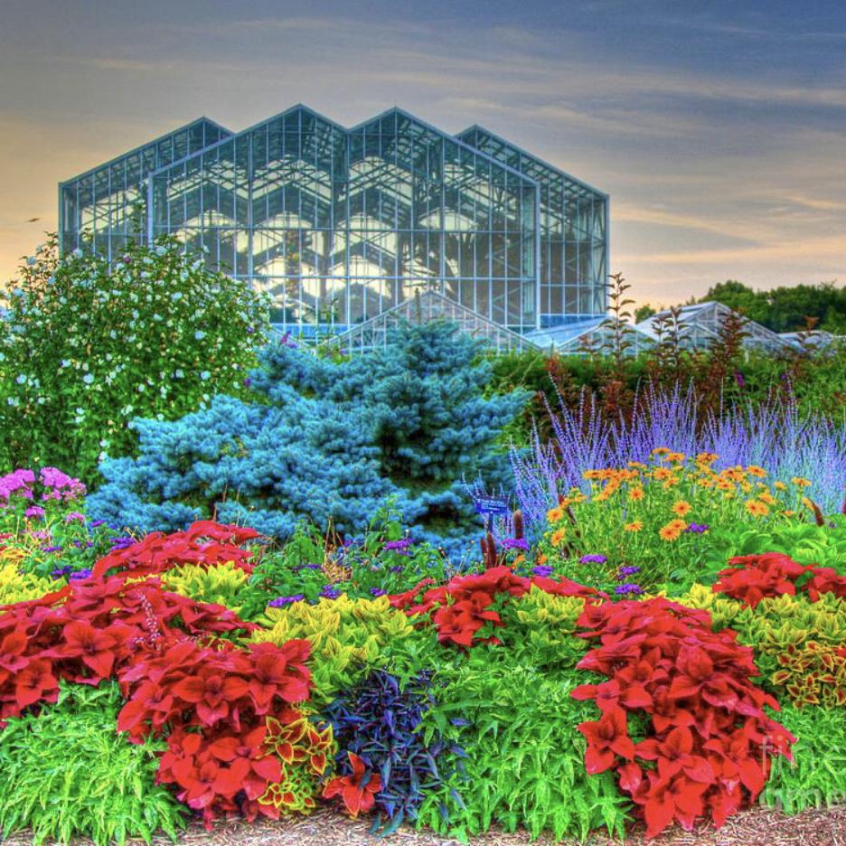 Membership for Frederick Meijer Gardens Museum