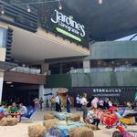 Shopping at Jardines de Llano Grande Mall