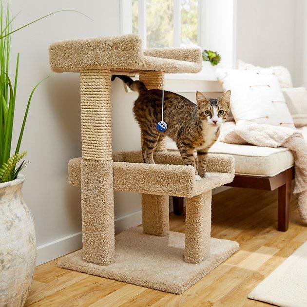 FRISCO 32-in Real Carpet Wooden Cat Tree with Toy, Beige - Chewy.com