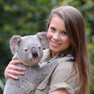 Cuddly Koala Encounter