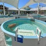 Loggerhead Marinelife Center