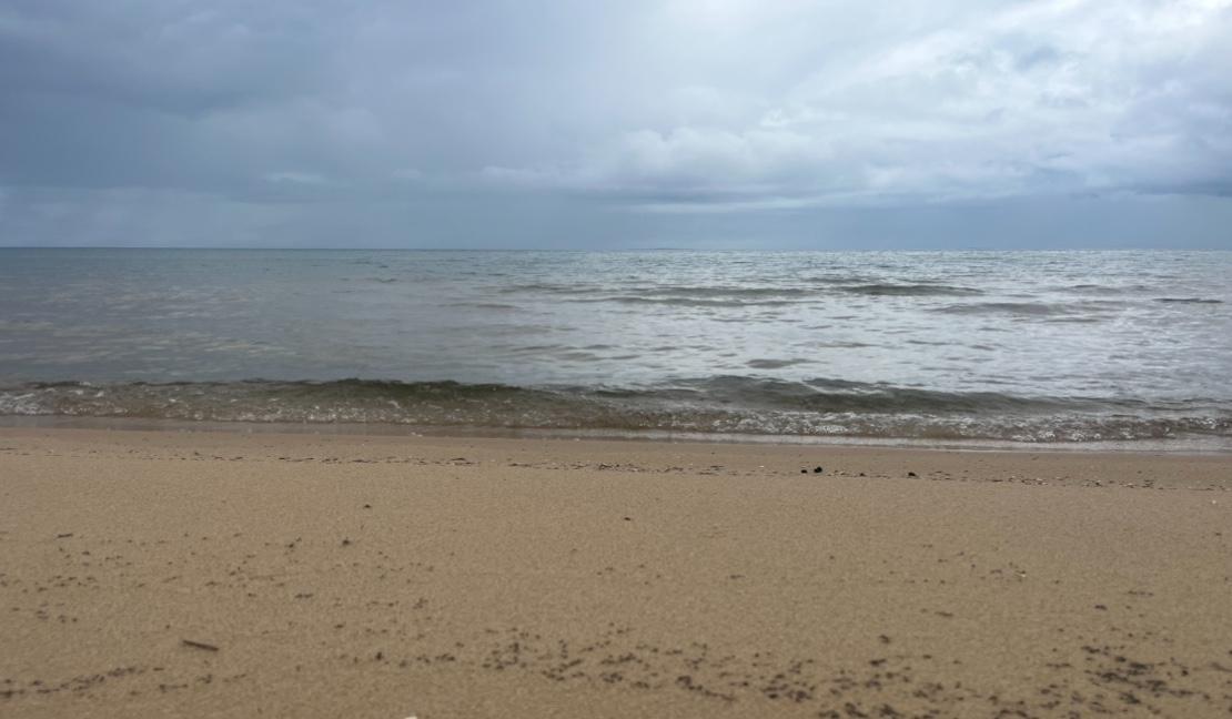 Footer image