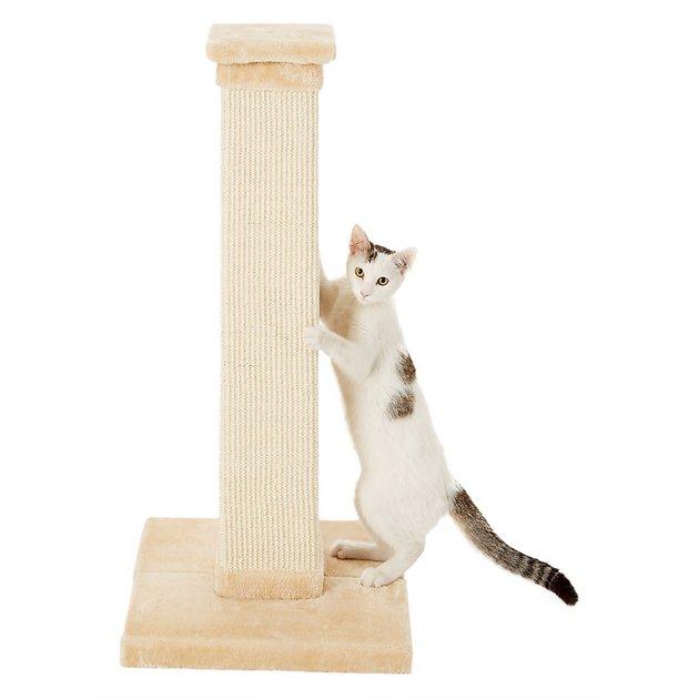 FRISCO Cat Scratching Post, Cream