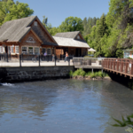 Fish Hatchery