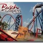 Busch Gardens Tampa Bay