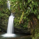 Bosque Nacional El Yunque