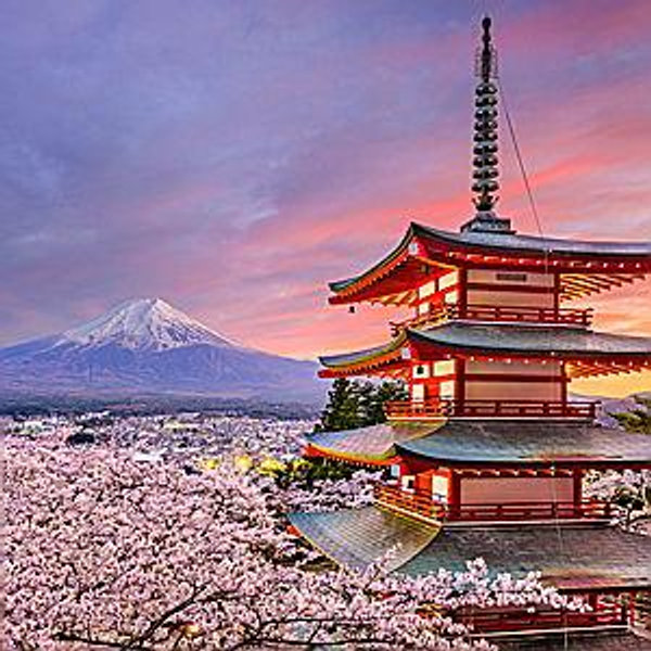 Honeymoon in Japan
