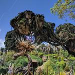 Pandora - The World of Avatar