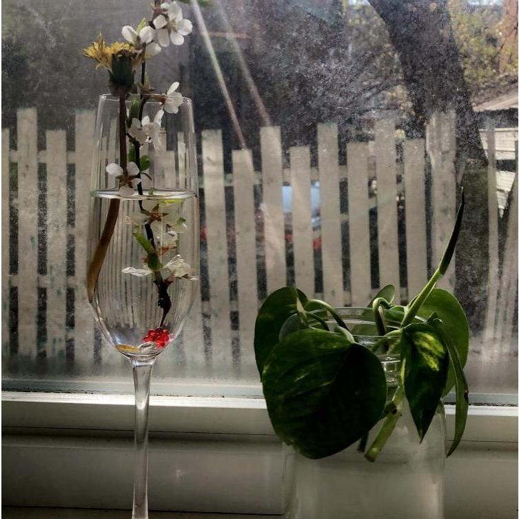 love grows roots